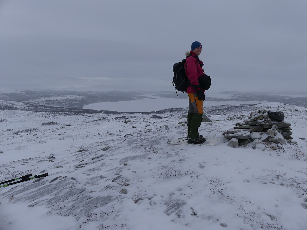Morten på Knippen, 940 moh.