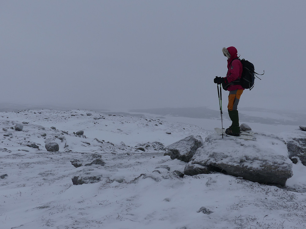 Brekkfjellet, 928 moh., besteget.