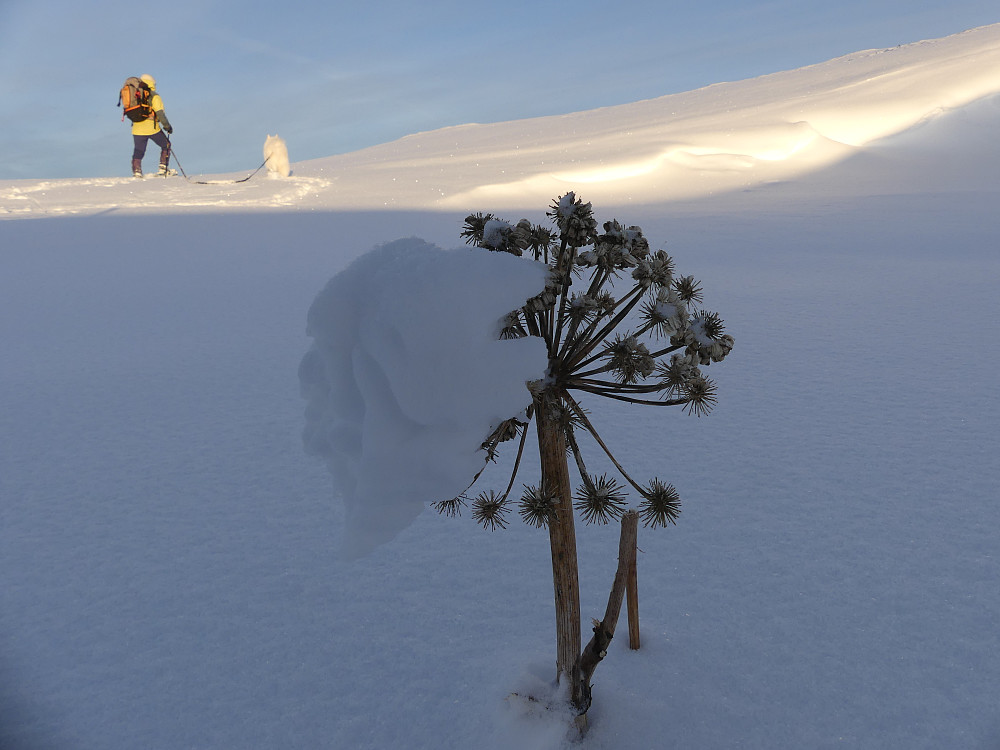 Fjellkvann ved nordre Leirbekken.