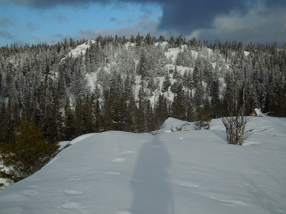 Valsjøberget sett fra Valsjøberget Sør.