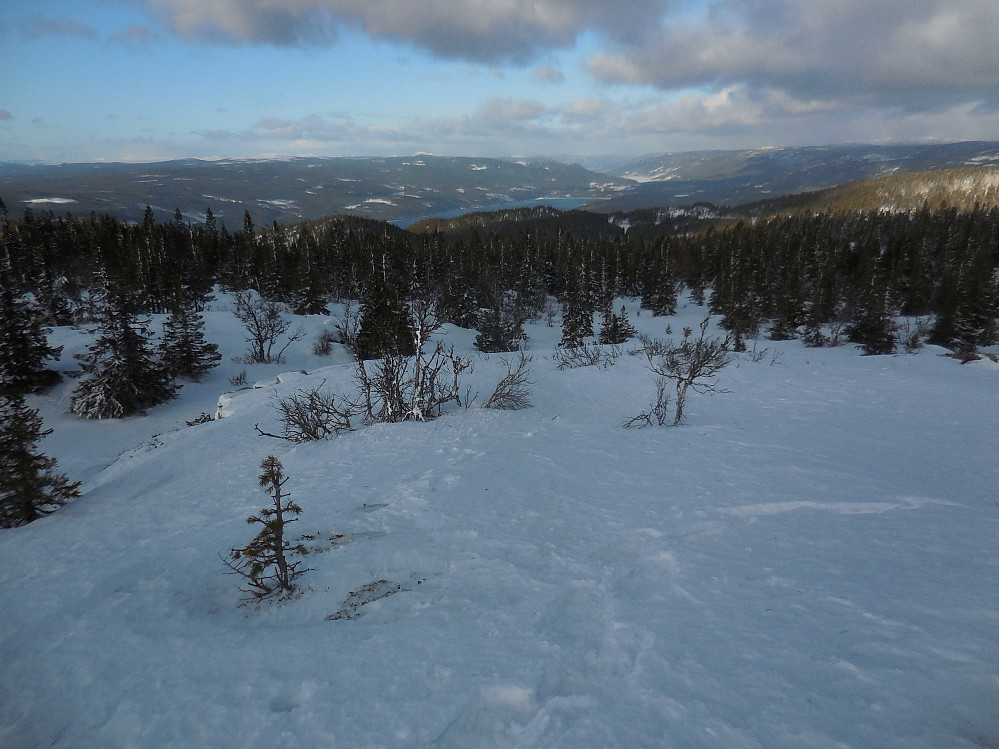 Utsikt fra Valsjøberget til Storsjøen og videre nordover Rendalen.