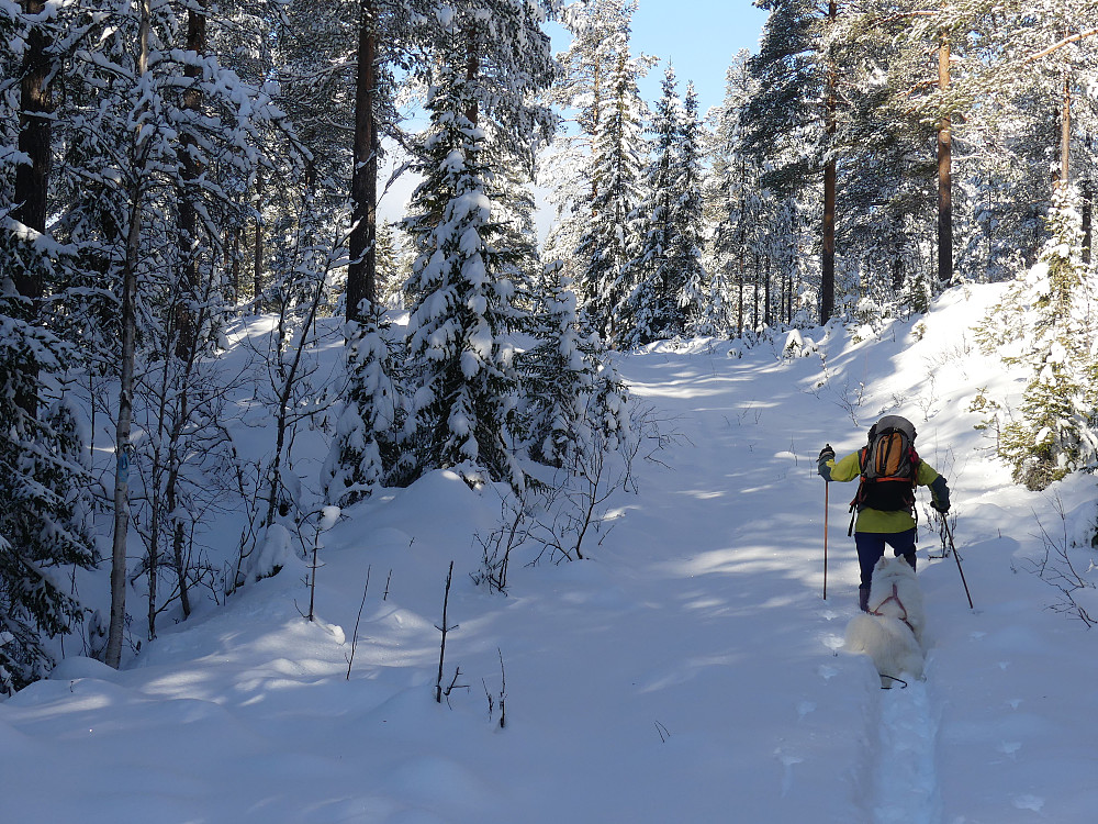 Det var tungt føre gjennom skogen.