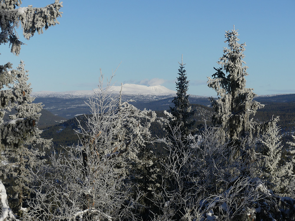 Rendalssølen.