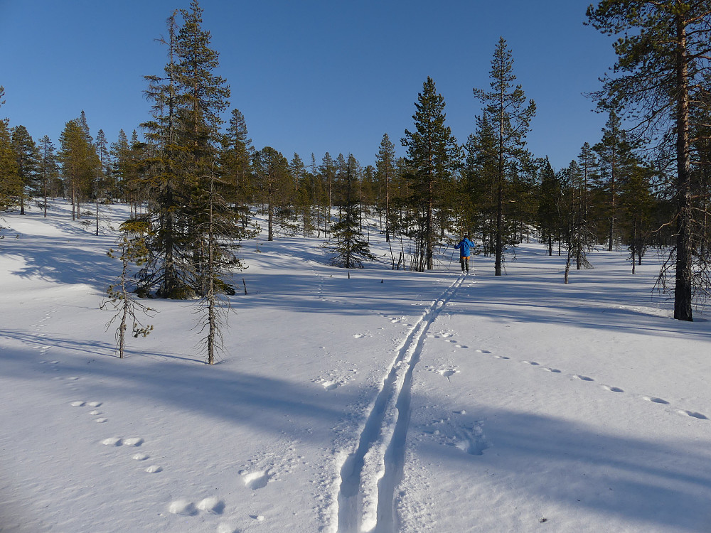 Opp mot Rødfjellet.