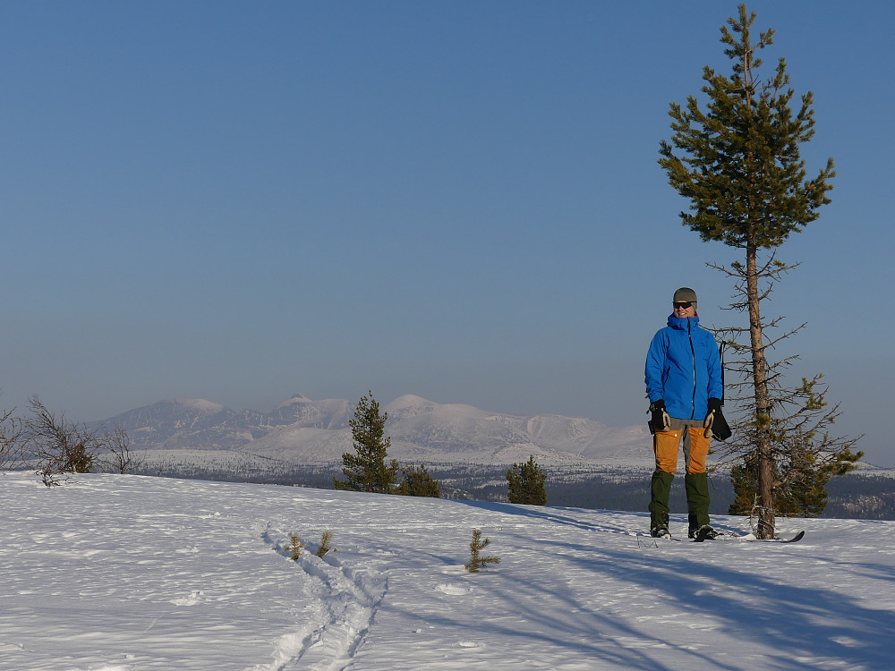 Morten på Rødfjellet, 841 moh. Rendalssølen i bakgrunnen.