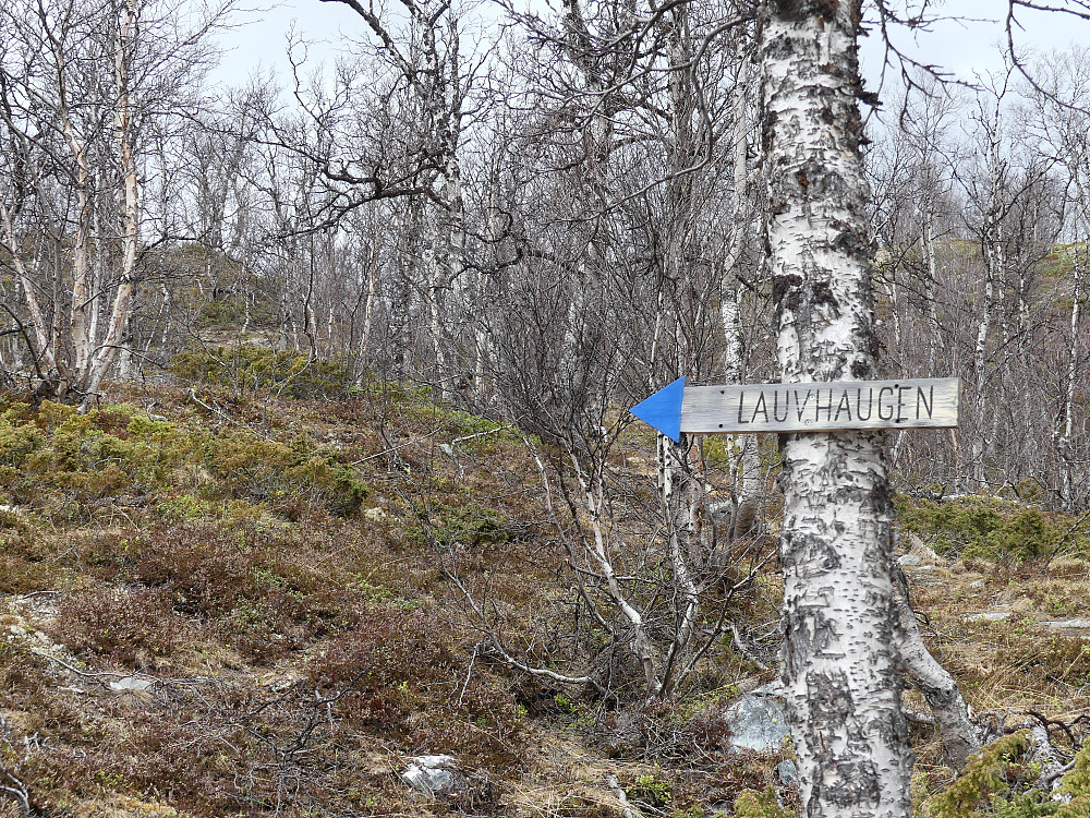 La turen etter merket sti om Lauvhaugen.