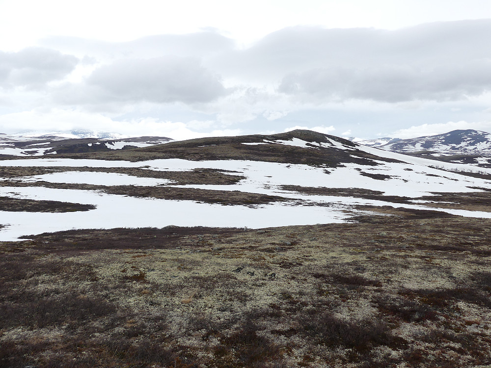 Veslknatten sett fra Breidskardet.