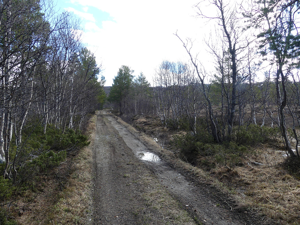 Bløt og dårlig vei inn til Kviknevangen.