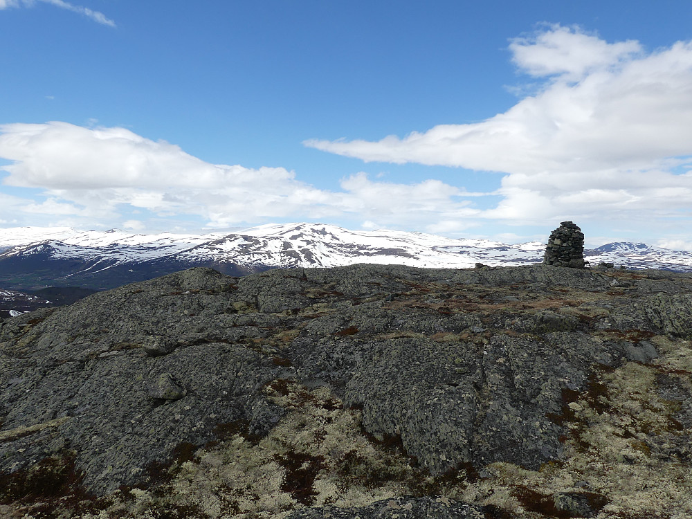 På Syndre Gråhøa, 1160 moh.