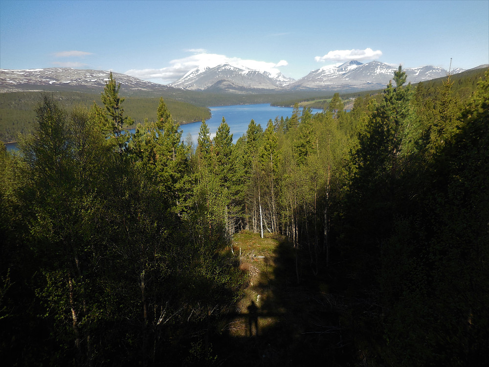 Rondane sett fra Sohlbergs plass.