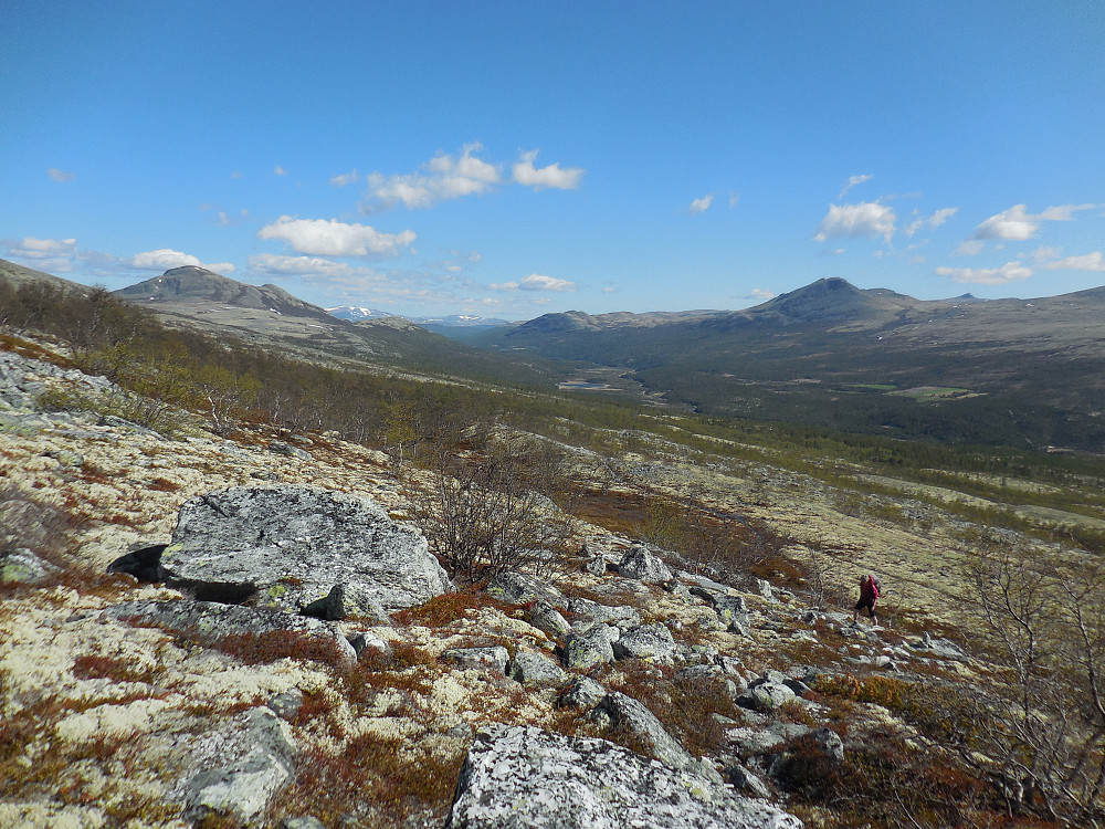 Turid på vei opp Bergedalen. I bakgrunnen ses Simlehøe til venstre og Sleukampen til høyre.