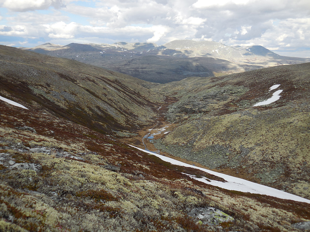 På hjemvei med utsikt utover Veslkolldalen og mot Gravskardhøgda.