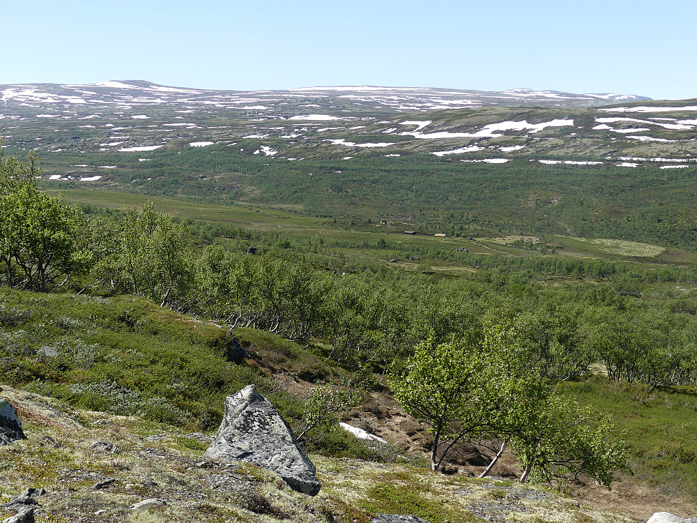 Fra oppstigningen til Næringhøa med utsyn over Langvelldalen.