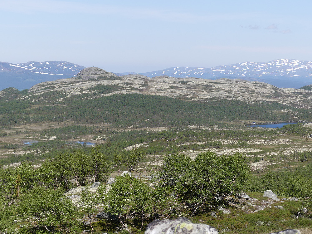 Den karakteristiske Svarthattan.