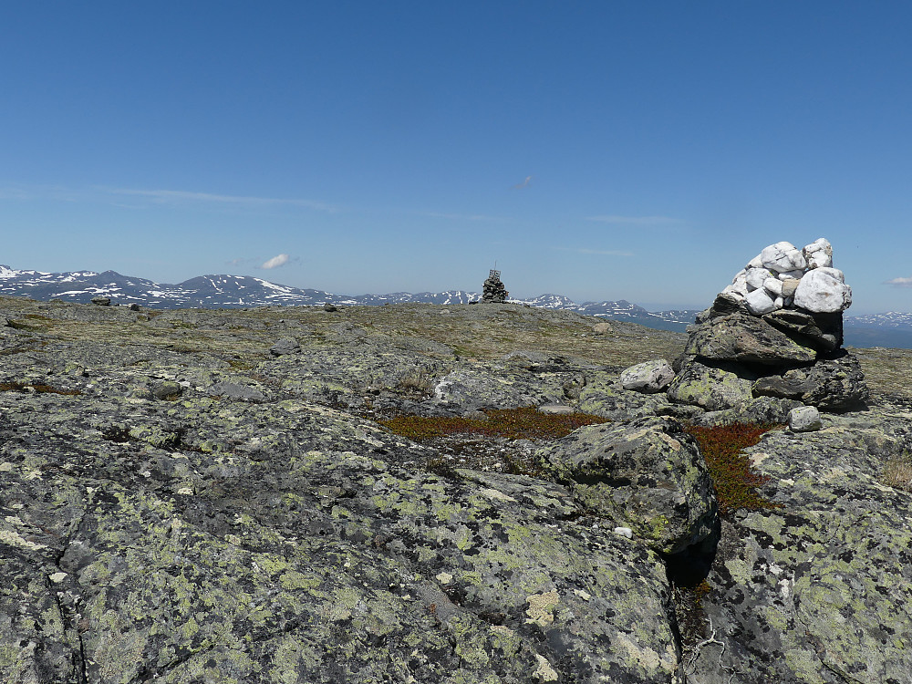På toppen av Næringhøa, 1160 moh.