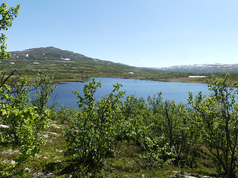 Tilbakeblikk over Grøntjønna og til Næringhøa.