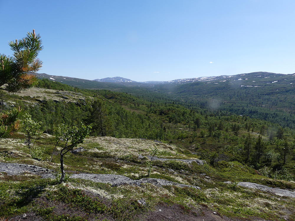 Fra nedstigningen av Svarthattan med utsikt sørover Langvelldalen til Stororkelhøa.
