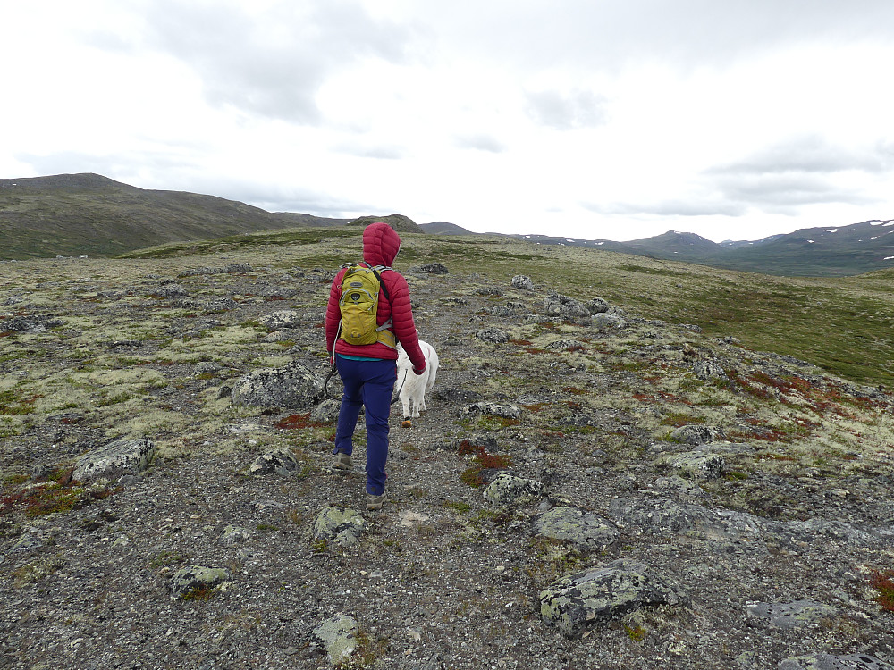 Det blåste godt oppe på ryggen av Tverrfjellet.