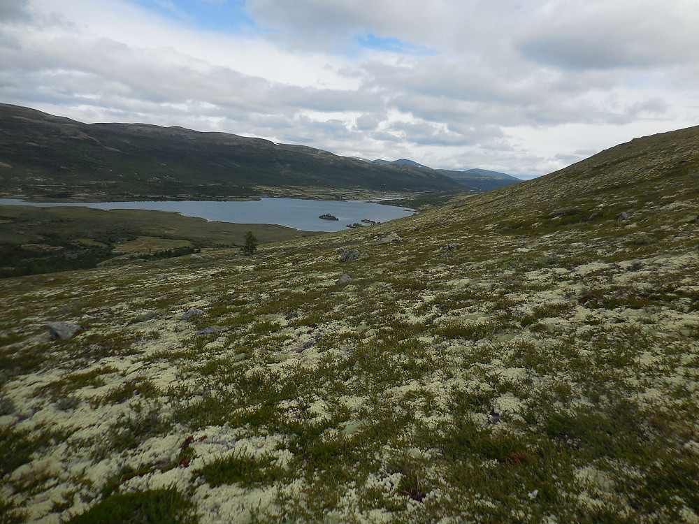 Vi har nådd nasjonalparkgrensa og får god utsikt til Avsjøen.