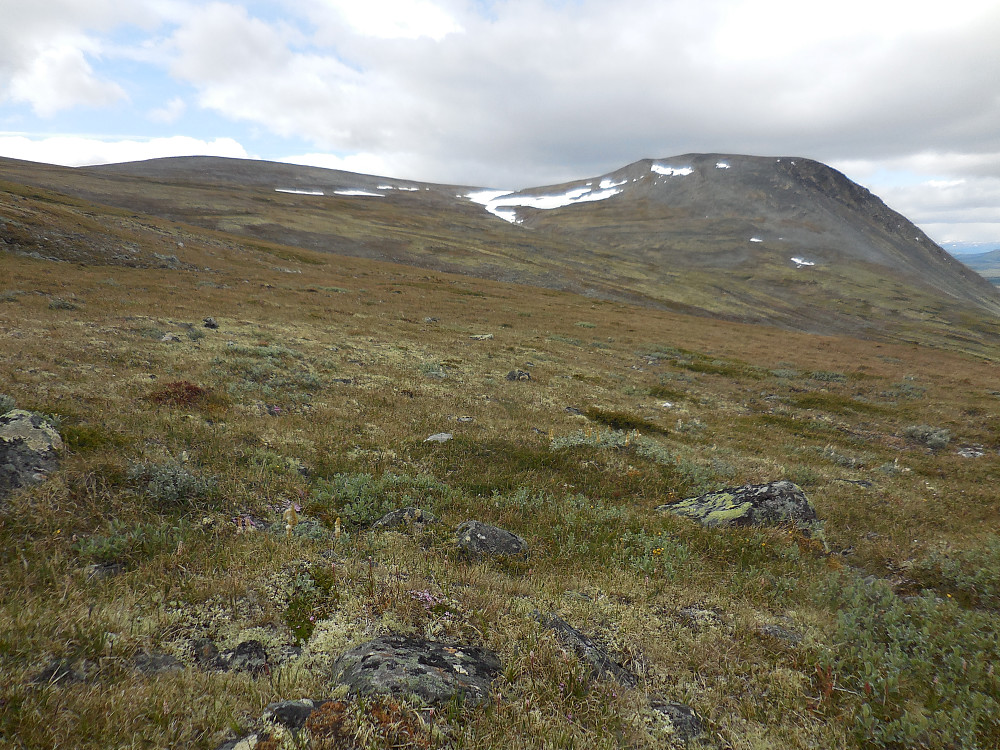 Mot Falketind og Blåberget.