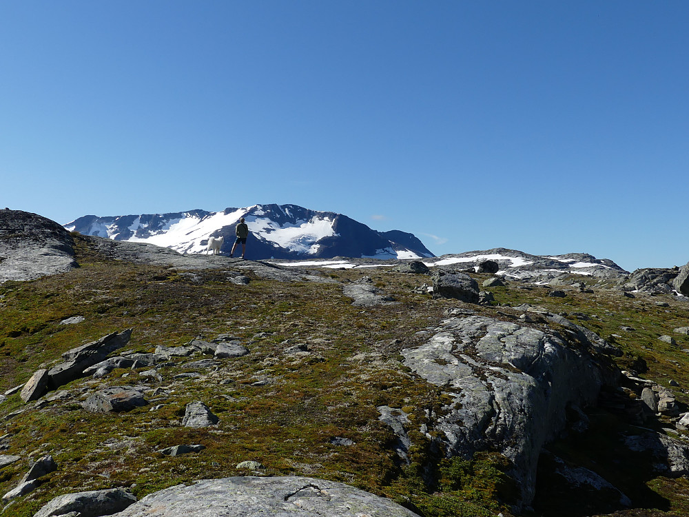 Mot Fannaråken og Steindalsnosi.