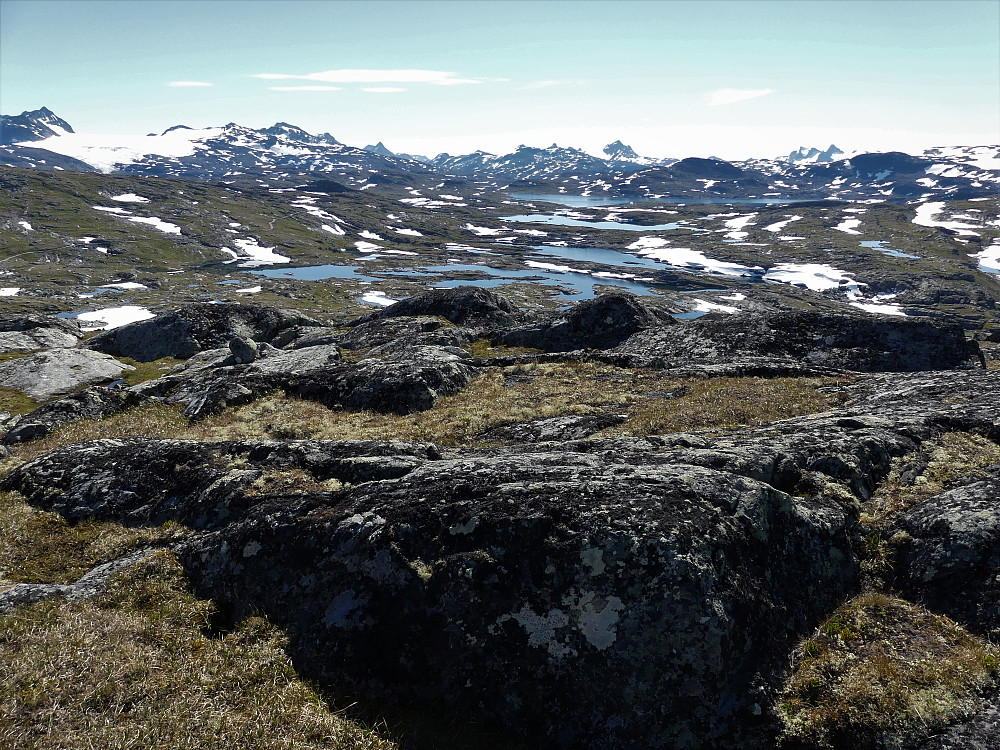 Lettgått sognefjellterreng!