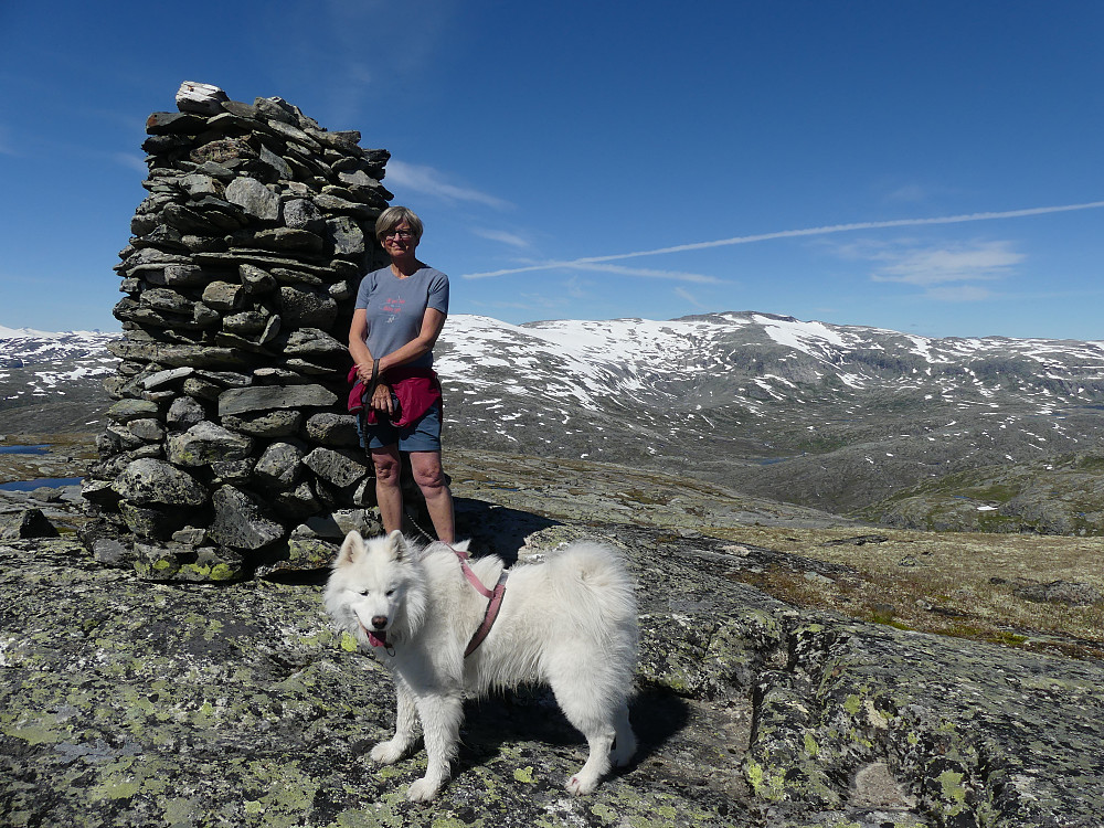 Prestesteinshøgdi, 1532 moh., er endelig erobret! Liabreakulen ses bak litt til høyre.