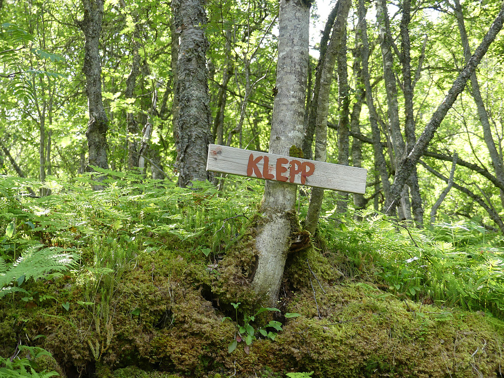 Jeg fulgte stien mot Klepp til toppen av Kleppaskaret.