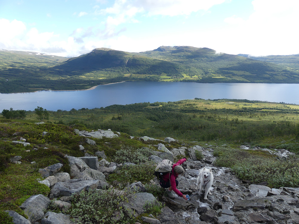 Drikkepause ved Engelsbekken. Gjevilvatnet, Tyrikvamfjellet og Svahøa i bakgrunnen.