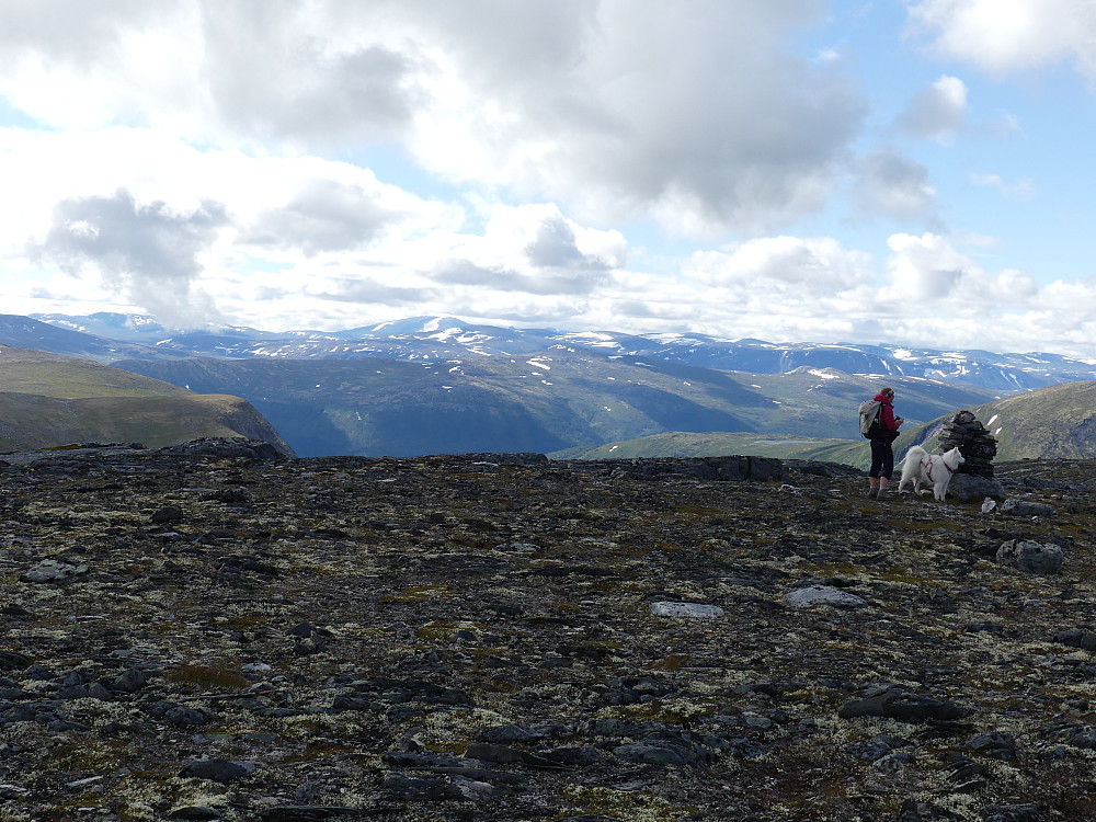 På Buslættkamben, 1417 moh., med Snøhetta langt bak midt på bildet.