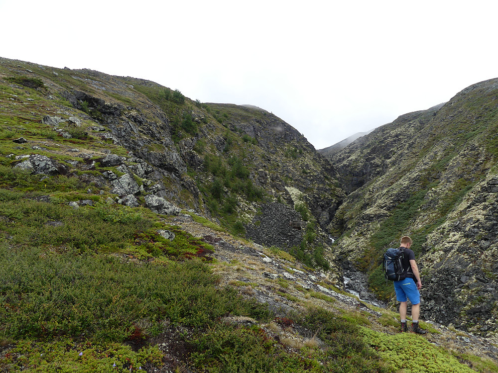 Snilt terreng opp langs nordsida av Grjota.