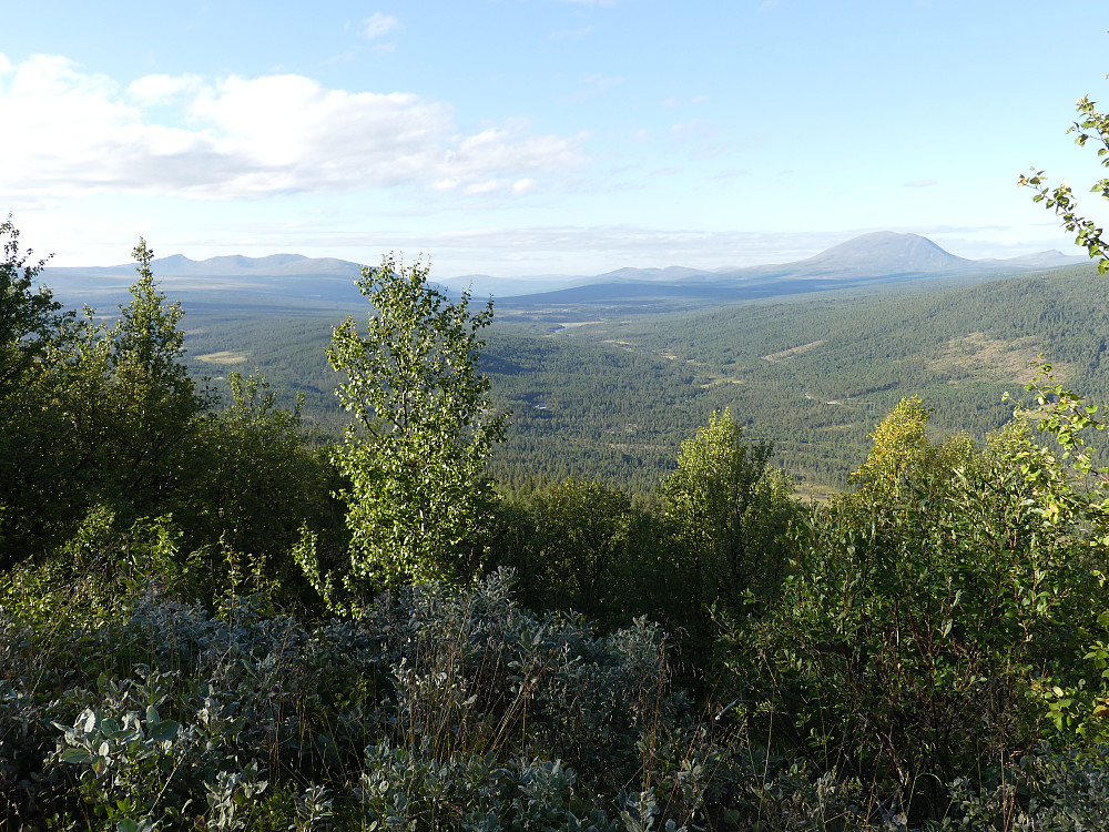Finnbølshaugen p-lomme gir fin utsikt nordover Murudalen helt til Heidalsmuen.