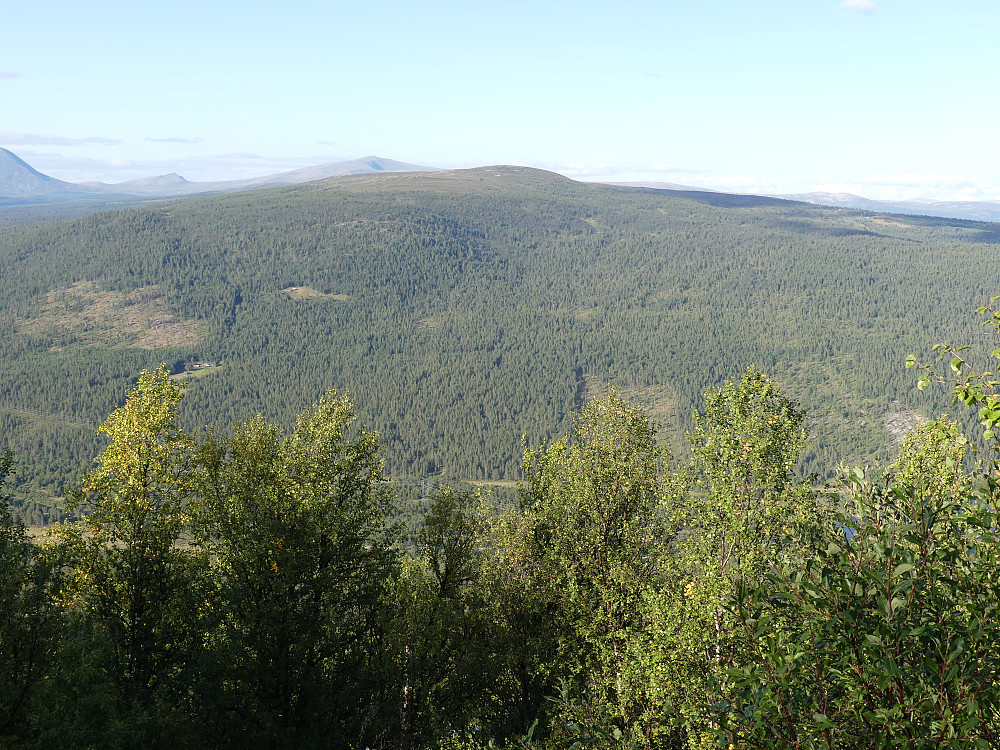 Over Slangen og til Skardfjellet.