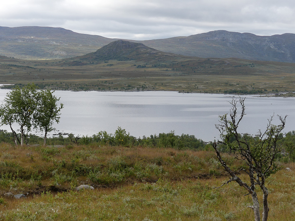 Keisaren med Skreddalsfjellet i bakgrunnen.