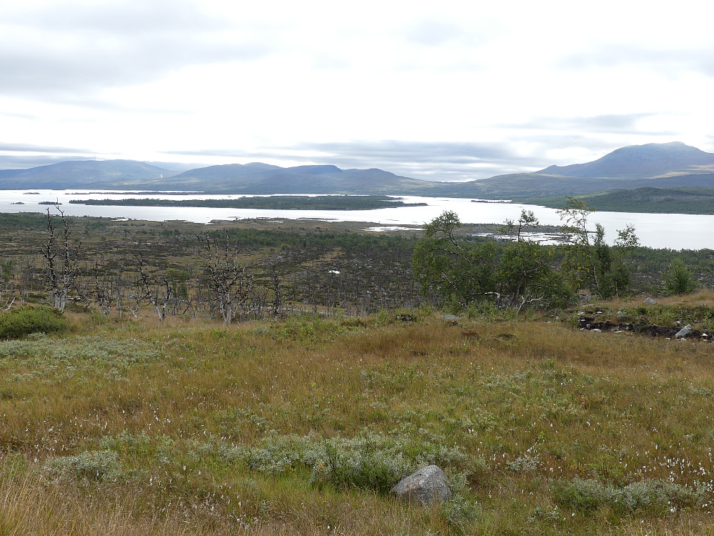 Sandvatnet og Kallfjorden med Buøya sett fra Jotunheimveien.