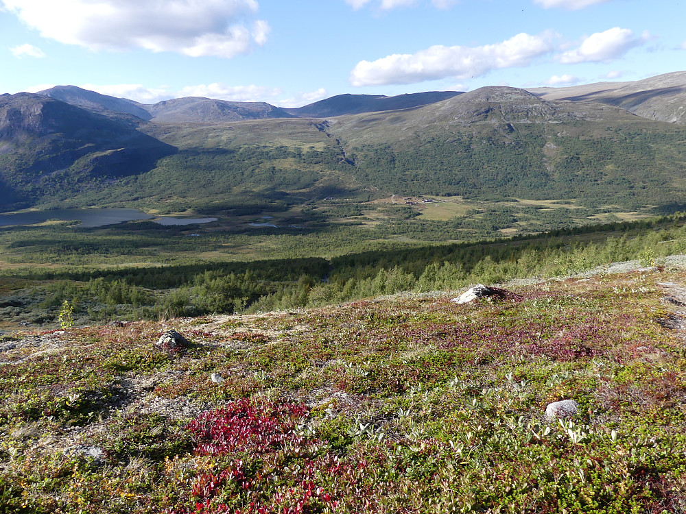 Jeg har kommet meg gjennom fjellbjørkeskogen og fått skikkelig utsikt over Sikkilsdalen og fjellene mot Sjodalen.