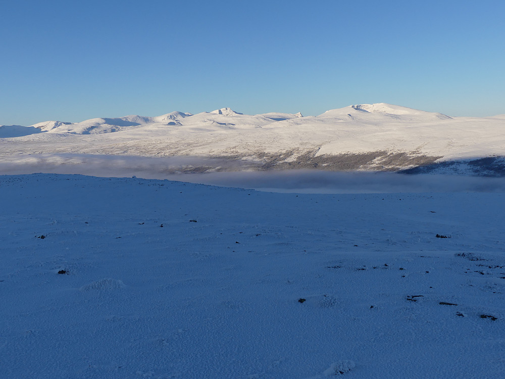 Dovrefjell.
