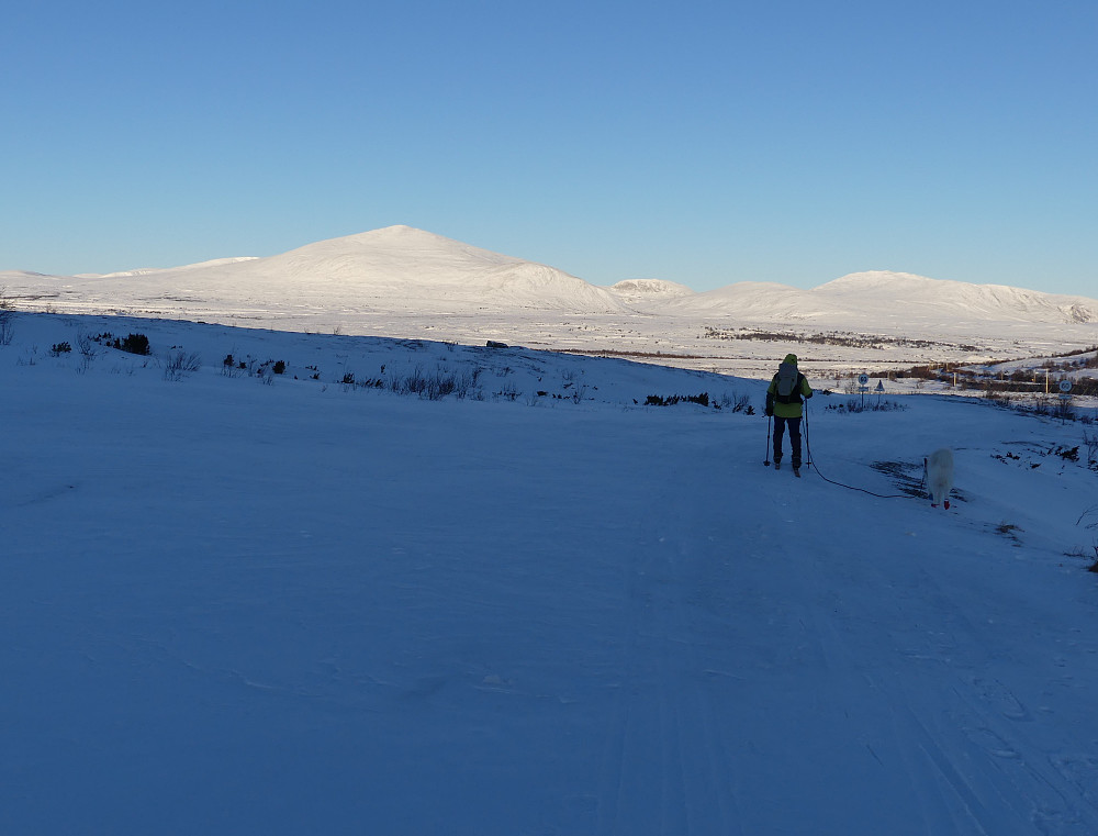 Der er så vidt skiføre etter Snøheimvegen. Kolla midt imot.