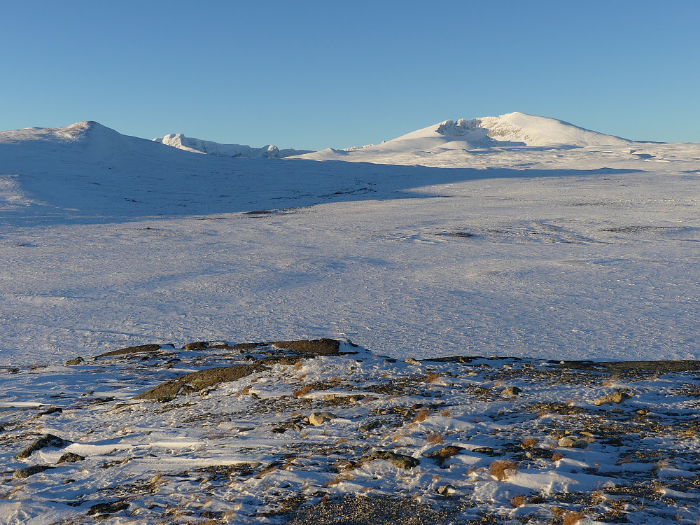 Ikke noe å si på utsikten fra Haukberget!