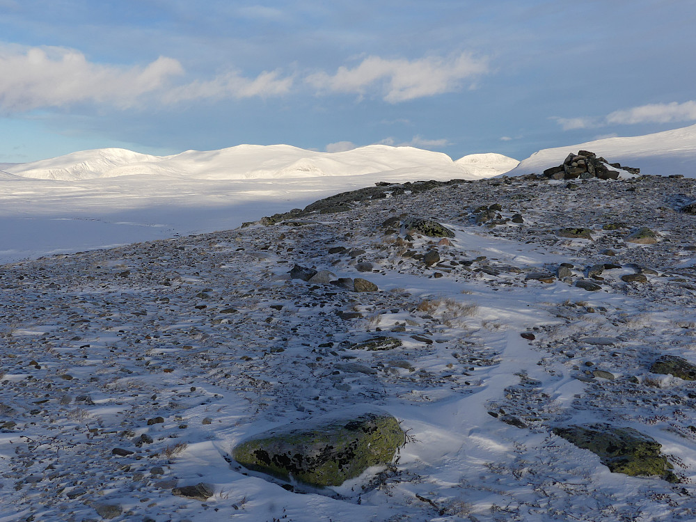 På toppen av Tjørnhøkollen, 1351 moh. I bakgrunnen fjell på nordsida av Stroplsjødalen med Storbrean som det høyeste.