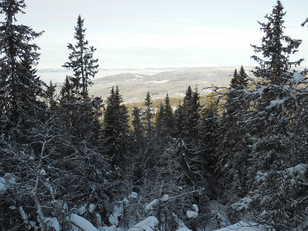 Vestover fra lia opp mot Byringen.