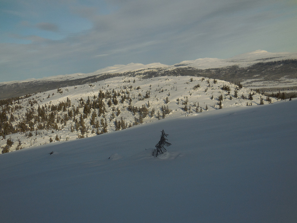 Mot Nord for Store Byringen.
