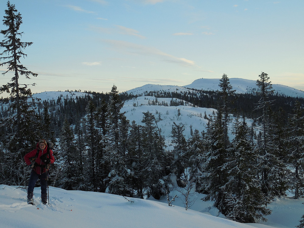 De siste metrene opp til toppen på Nordvestre Knappane.