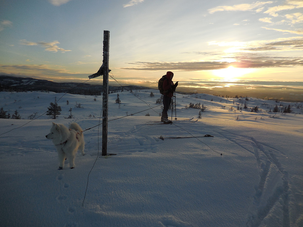 På dagens siste, Knappane trig.punkt, 917 moh.