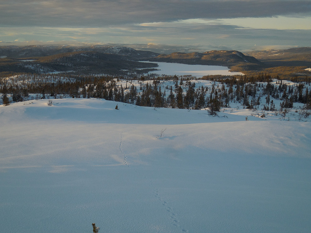 Mot Veksen og videre nordover Rendalen.