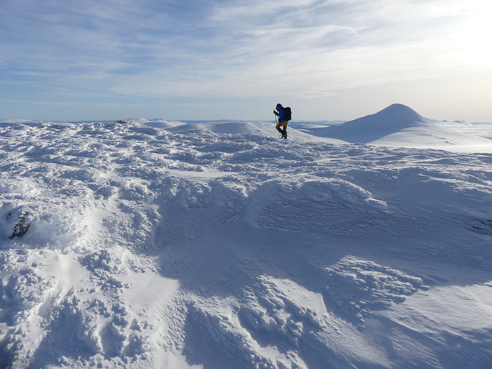 De siste metrene bort til toppen på Søre Svartdalshøgda. Den 200 m høyere Elgspiggen er blikkfanget til høyre for Morten.