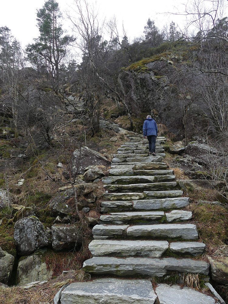 Gunnar i fint driv mot toppen.