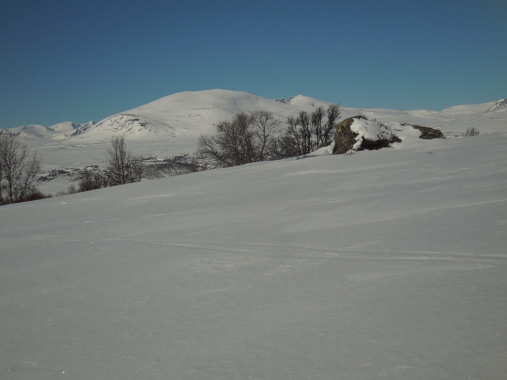 Kolla og litt av Snøhetta.