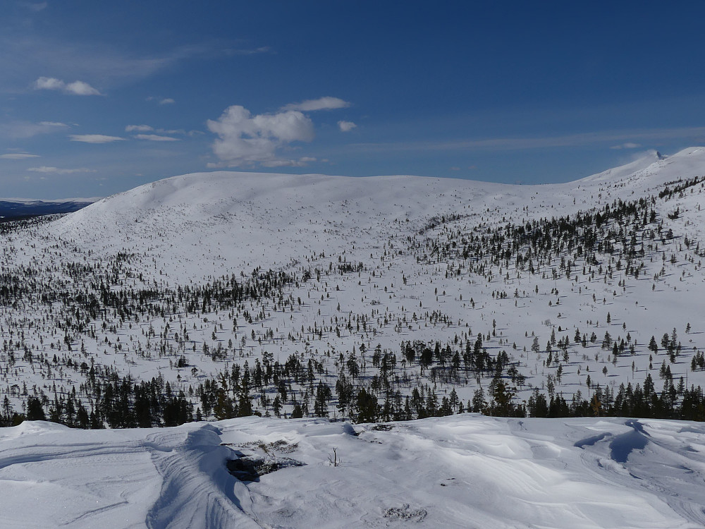 Fra Rokampen mot den flate Sørbårn. Midtre Sølen ses helt til høyre.