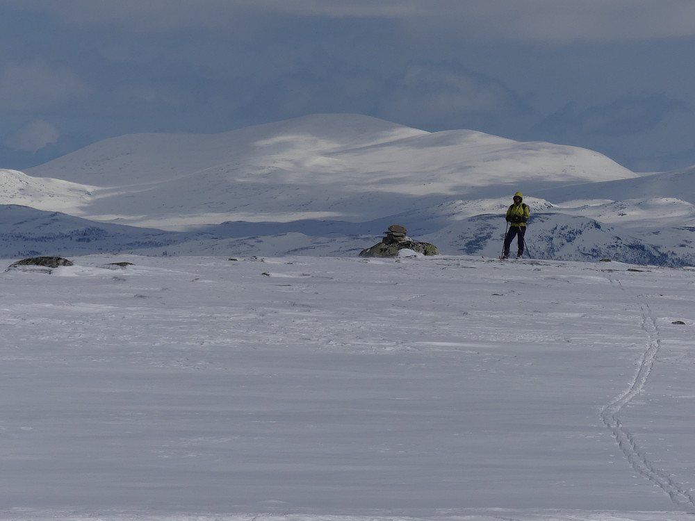 Turid på Nordøstre Sørbårn, 974 moh.